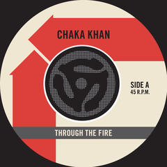 Through the Fire(45 Version)