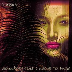 Somebody That I Used To Know(Club Mix Edit)