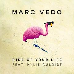 Ride of Your Life(Extended Mix)