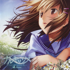 Narcissu ~セツミのテーマ~