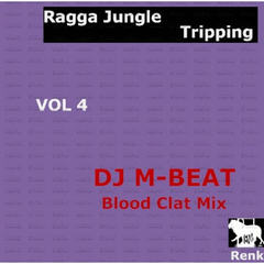 Ragga Jungle(Blood Clat Mix)