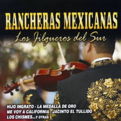 Cuando Salgo A Los Campos (Ranchera Version)