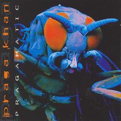 Injected With A Poison(Pragmatic Album Mix)