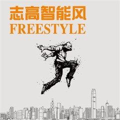 志高智能风freestyle