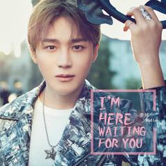 I’m Here Waiting For You