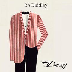 Hey， Bo Diddley