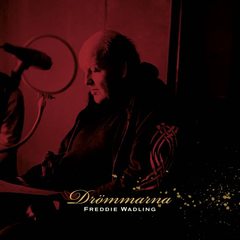 Drmmarna