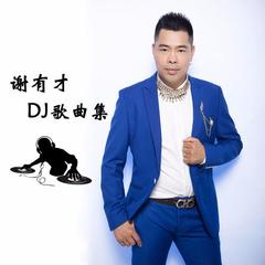 何苦痴情又伤心(DJ版)