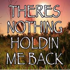 There’s Nothing Holdin’ Me Back - Tribute to Shawn Mendes