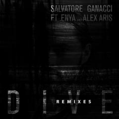 Dive (Sean Turk Remix)