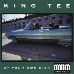 At Your Own Risk(Explicit)