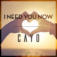 I Need You Now (Remix)