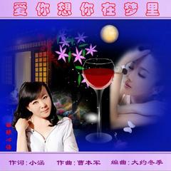 爱你想你在梦里