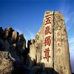 喊遍山东省