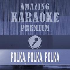 Polka， Polka， Polka (Single Edit Premium Karaoke Version])