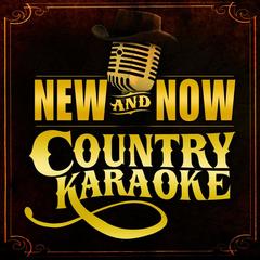 To Make You Feel My Love (Originally Performed By Garth Brooks)(Karaoke Version)