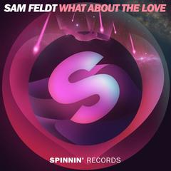 What About The Love(Extended Mix)