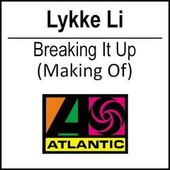 Breaking It Up(Punks Jump up Remix)