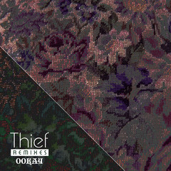 Thief(Tommy Trash Remix)