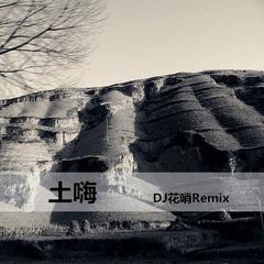 不悔梦归处，只恨太匆匆(Remix)