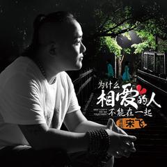 为什么相爱的人不能在一起(DJ何鹏版)