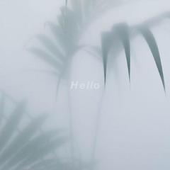 无果之爱 Hello