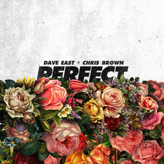 Perfect(Explicit)