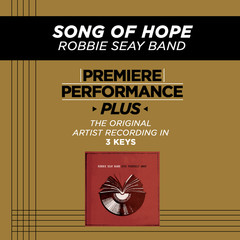 Song Of Hope(Heaven Come Down) (Medium Key Performance Track Without Background Vocals)