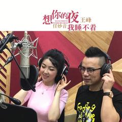 想你的夜我睡不着(DJ何鹏版)