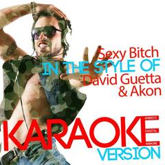 Sexy B**ch (In the Style of David Guetta & Akon)(Karaoke Version)