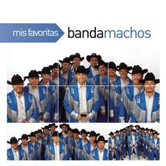 Estas Seleccionada(Album Version)