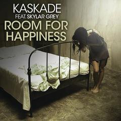 Room for Happiness (feat. Skylar Grey)((Kaskades ICE Mix))(Remix)