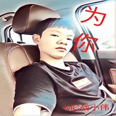 是我太过宠你