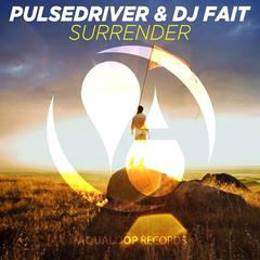 Surrender(Pulsedriver Dub Mix)