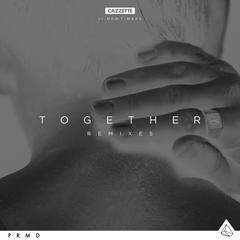 Together(Lost Kings Remix Radio Edit)