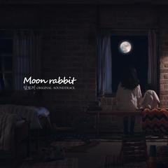 Moon rabbit(Canon EOS800D OST)