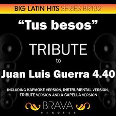 Tus Besos (In The Style Of Juan Luis Guerra 4.40) [Instrumental Version]