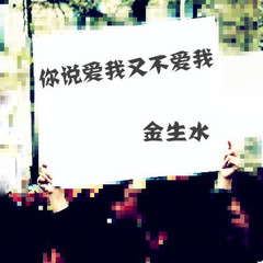 你说爱我又不爱我 (DJ版)