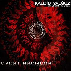 Kaldim Yalguz