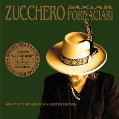 Senza Una Donna - Without A Woman (Album Version)