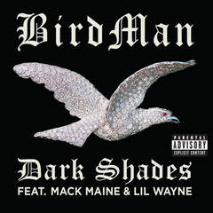 Dark Shades(Explicit Version)