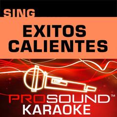 No Puedo Olivdar  [In the Style of MDO](Karaoke Lead Vocal Demo)