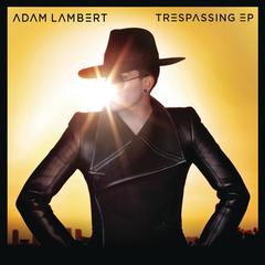 Trespassing(vAnity mAchine Remix)