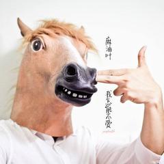 斑马斑马 (cover)