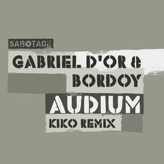 Audium(Kiko Remix)