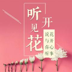 想见你的人24小时都有空 (节目)