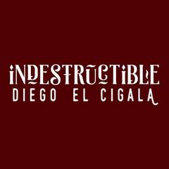 Indestructible