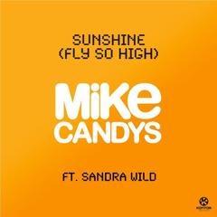 Sunshine(Fly So High)(Ibiza Radio Mix)