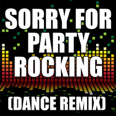 Sorry for Party Rocking(Dance Remix)