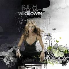 Wildflower(Album Version)